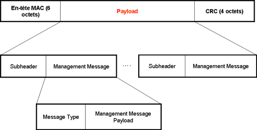 payload